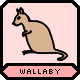 A wallaby.